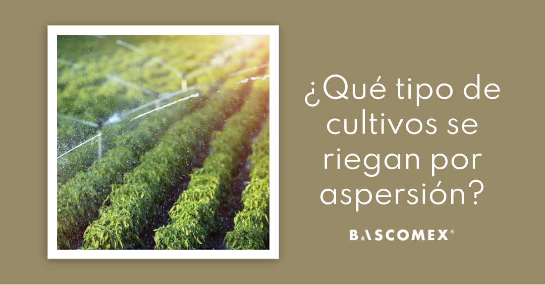 ¿Qué tipo de cultivos se riegan por aspersión?