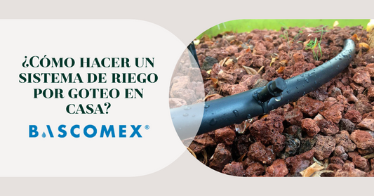 ¿Cómo hacer un sistema de riego por goteo en casa?